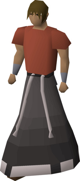 File:Void knight robe equipped male.png