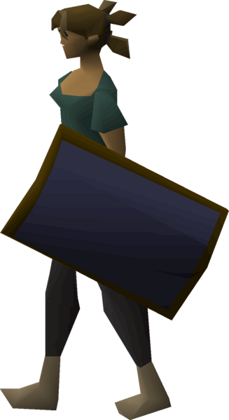 File:Mithril sq shield equipped female.png