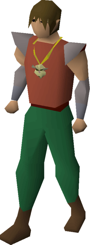 Camulet equipped.png