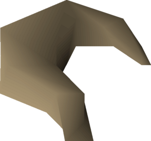 Nasturtium seed 1 detail.png