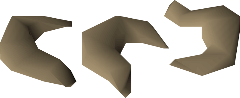 File:Nasturtium seed 3 detail.png