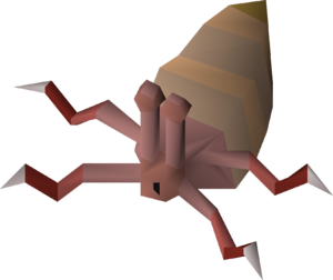 Sea slug (item) detail.png