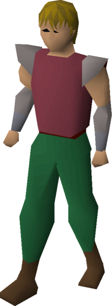 File:Bowl wig equipped.png