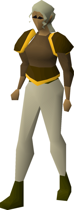 Bronze platebody (g) equipped female.png