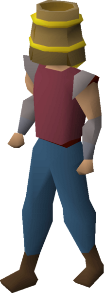 File:Bucket helm (g) equipped.png