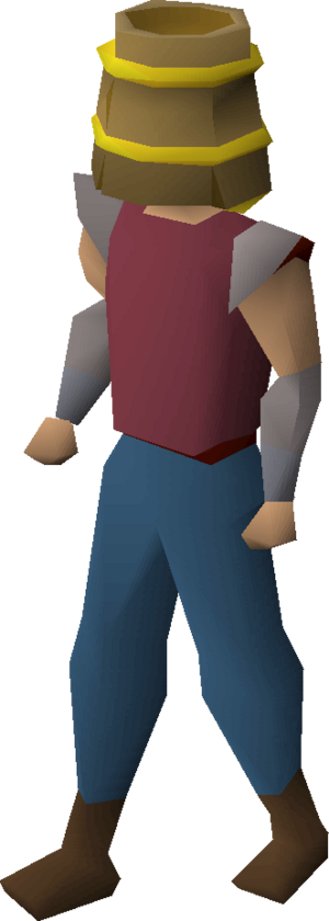 Bucket helm (g) equipped.png