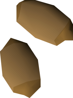 Calquat tree seed 2 detail.png