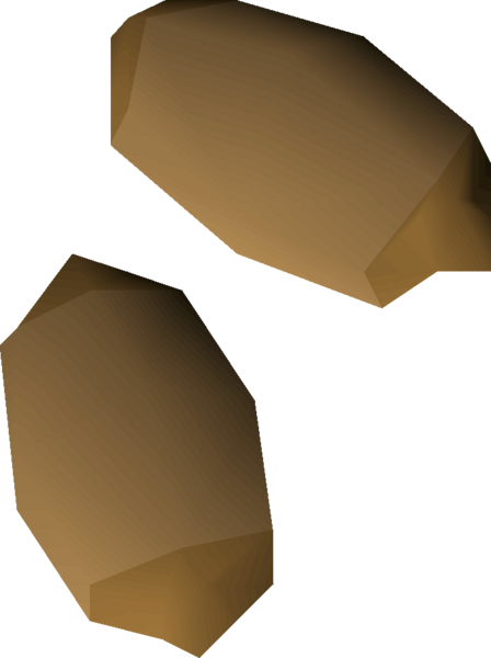 File:Calquat tree seed 2 detail.png