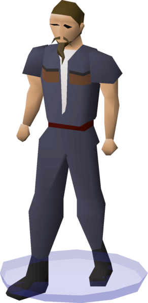 File:Clan wars cape (PVP Championship Blue 16) equipped.png