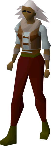 File:Trailblazer top (t1) equipped female.png