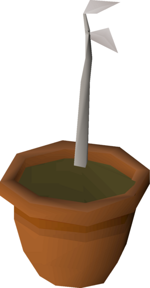 White tree sapling detail.png