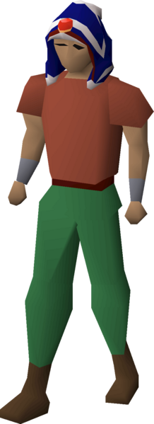 File:Imbued saradomin max hood equipped.png