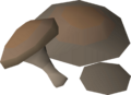 Thumbnail for version as of 13:40, 14 October 2024