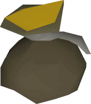 Coin pouch (watchman) detail.png