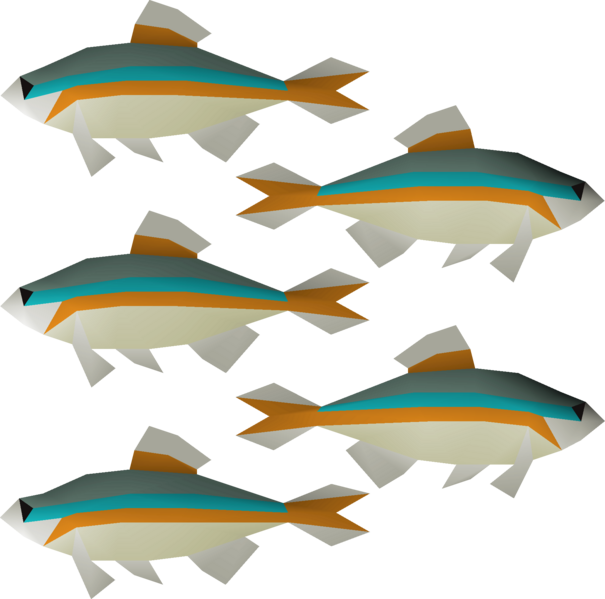 File:Minnow (v1) detail.png