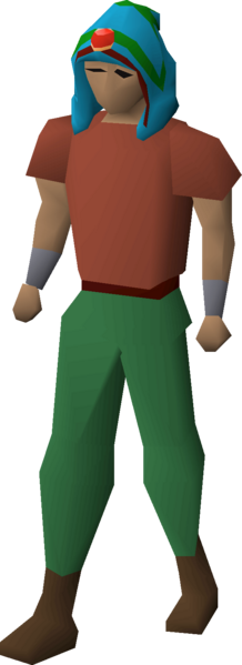 File:Imbued guthix max hood equipped.png