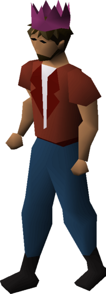 File:Magenta partyhat equipped male.png