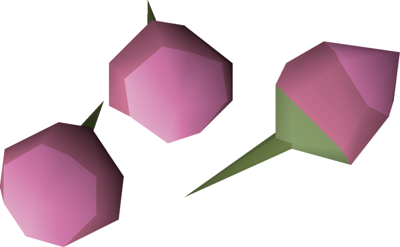 File:Orchid seed (pink) 3 detail.png