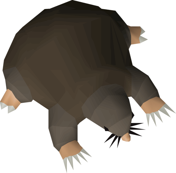 File:Baby mole detail.png