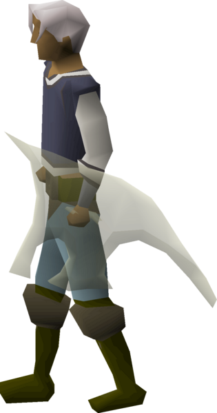 File:Blessed spirit shield equipped.png