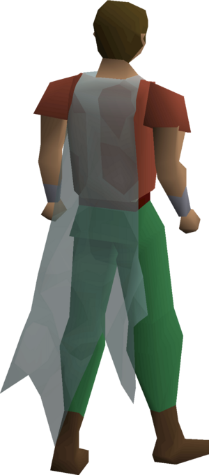 Cobweb cape equipped male.png