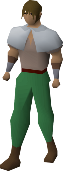 File:Adventurer's top (t1) equipped male.png