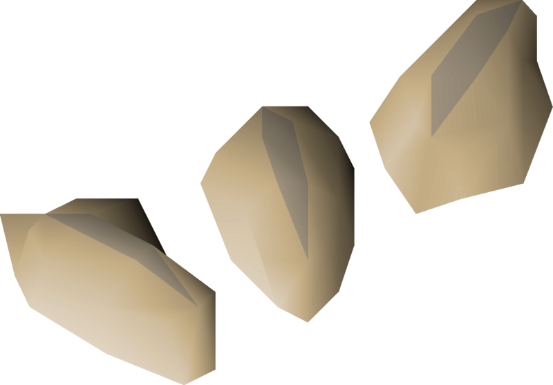 File:Barley seed 3 detail.png