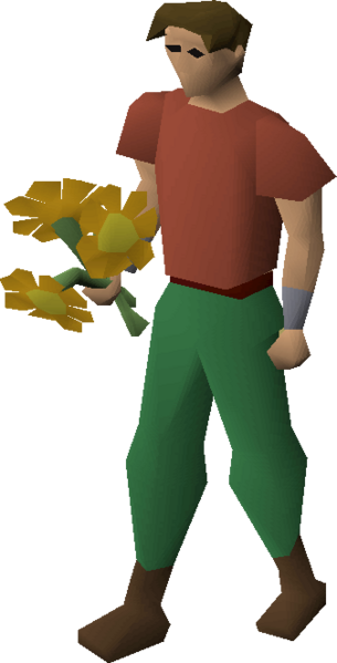 File:Orange flowers equipped.png