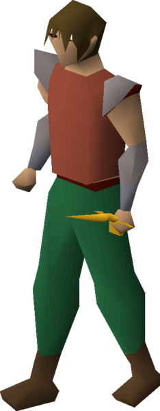 File:Rune defender (t) equipped.png