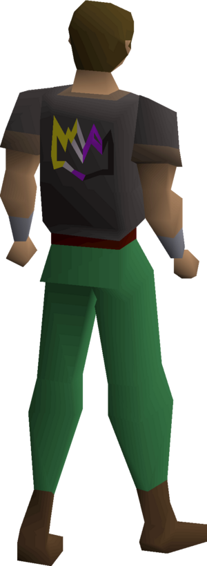 Colourful crown shirt (non-binary) equipped male.png