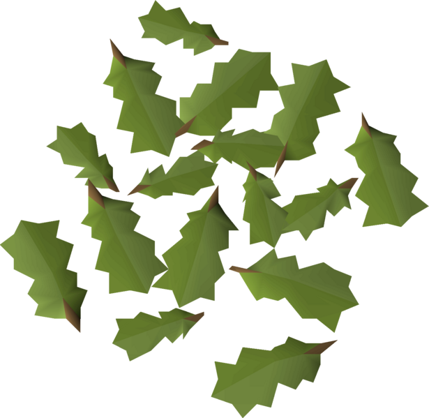 File:Oak leaves detail.png
