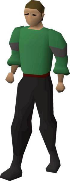 File:Dni23 arms thickstripe equipped male.png