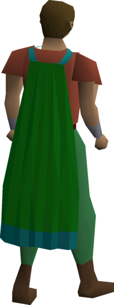 File:Guthix cape equipped.png