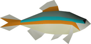 Minnow 1 (v1) detail.png