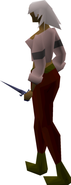File:Mithril defender equipped female.png