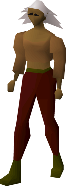 File:Monk's robe top equipped female.png