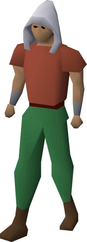 Quest point hood equipped.png