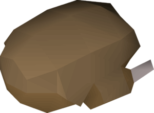 Roast bird meat detail.png