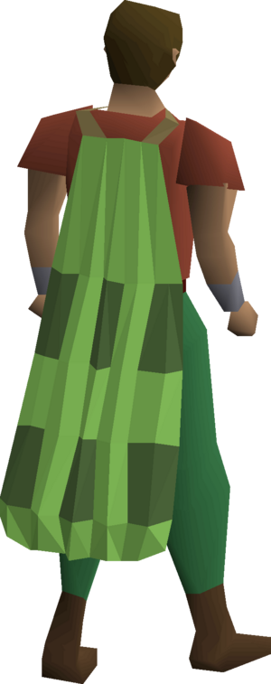 Team-34 cape equipped.png