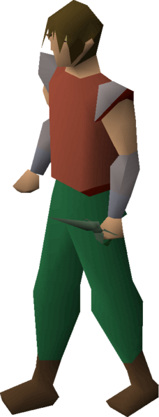 File:Adamant defender equipped.png