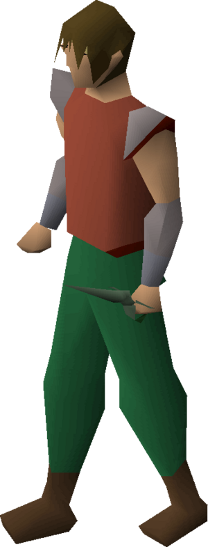 Adamant defender equipped.png