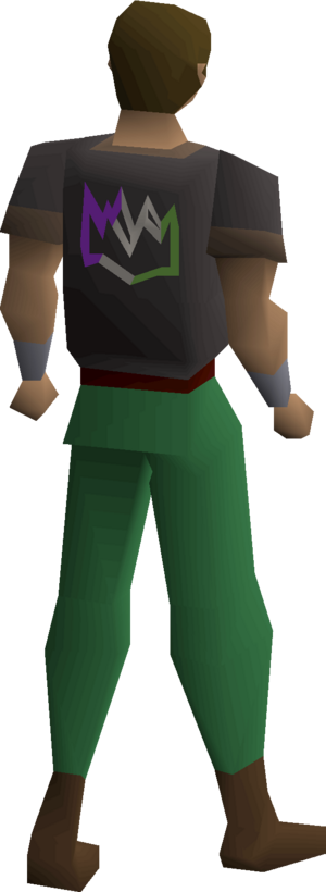 Colourful crown shirt (genderqueer) equipped male.png