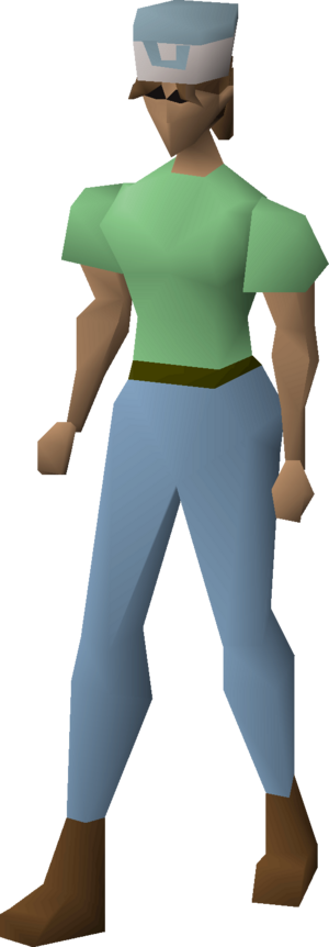 Villager hat (blue) equipped female.png
