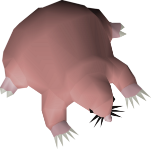 Baby mole-rat detail.png