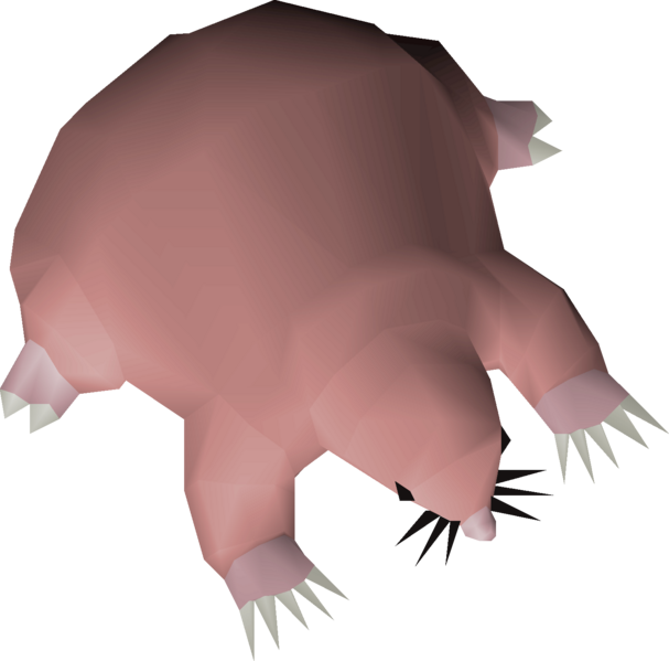 File:Baby mole-rat detail.png