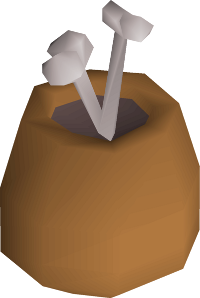 File:Bone in vinegar detail.png