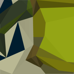 Sliding piece (Zulrah 14) detail.png