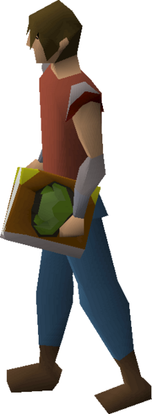 File:Cruciferous codex equipped.png