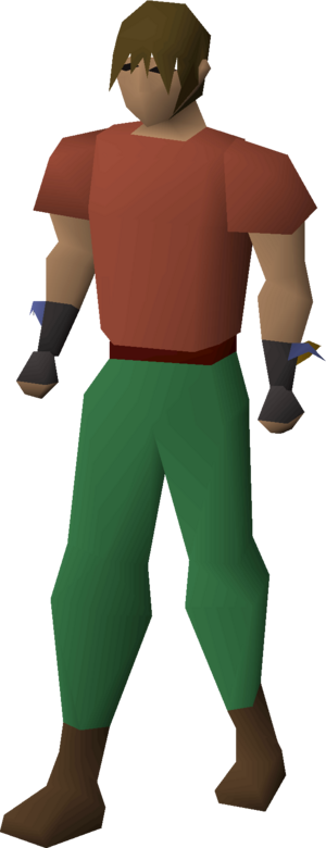 Graceful gloves (Varlamore) equipped male.png