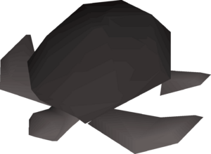 Burnt sea turtle detail.png